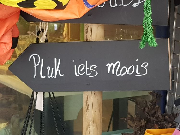 Waar ligt de balans tussen sturen en coachen van medewerkers als leidinggevende? Belangrijke vaardigheden van leidinggevenden mens- en doelgericht