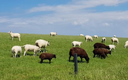 Meer onderlinge verbinding op de werkvloer