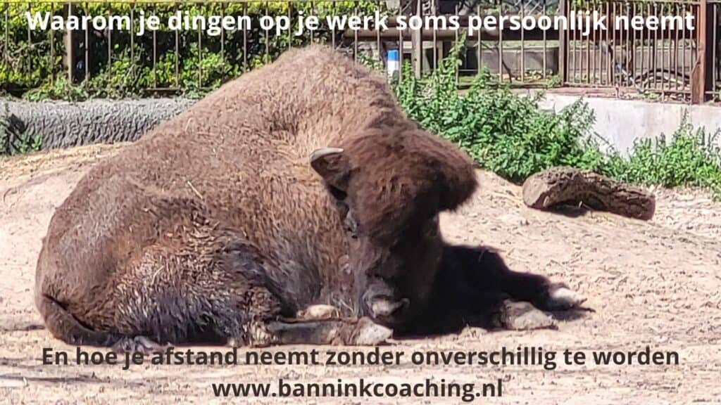 zaken minder persoonlijk nemen zonder onverschillig worden als je het gevoel hebt persoonlijk aangevallen te voelen