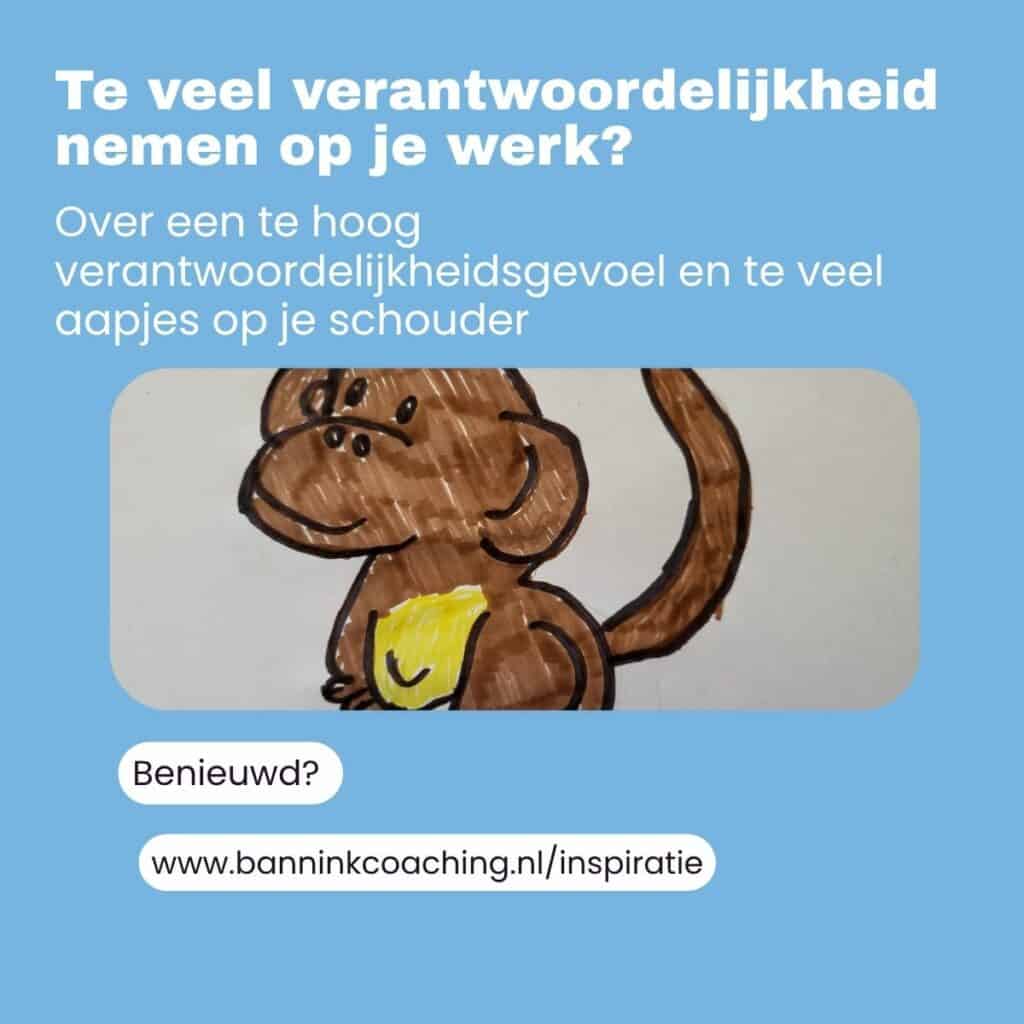 Te veel verantwoordelijkheid nemen. te hoog verantwoordelijkheidsgevoel, teveel aapjes op je schouder, persoonlijke ontwikkeling
