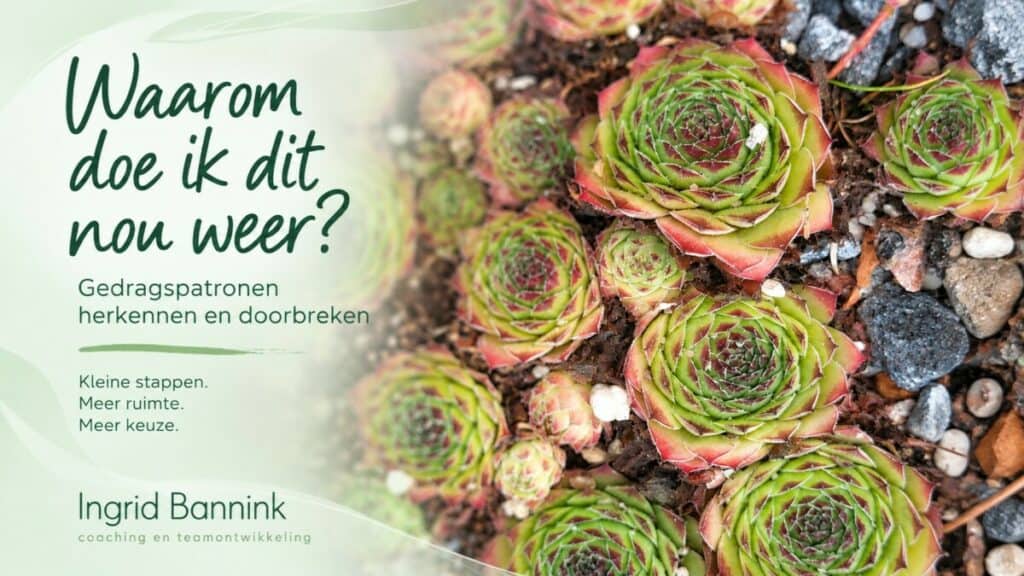 Waarom val je steeds terug in hetzelfde gedrag? Lees hoe je gedragspatronen kunt herkennen en doorbreken met kleine, haalbare stappen.