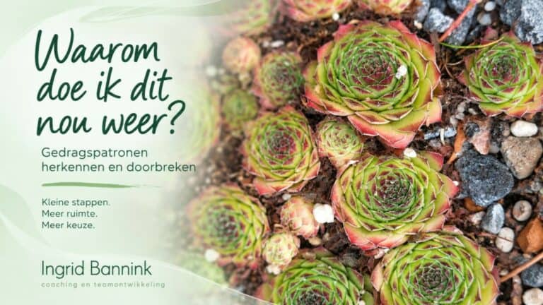 Waarom val je steeds terug in hetzelfde gedrag? Lees hoe je gedragspatronen kunt herkennen en doorbreken met kleine, haalbare stappen.